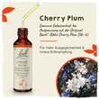 Bachbl&uuml;ten Cherry Plum Tropfen - 2