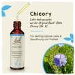 Bachbl&uuml;ten Chicory Tropfen - 2