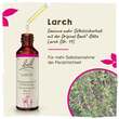 Bachbl&uuml;ten Larch Tropfen - 2