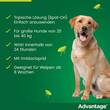 Advantage 400 L&ouml;sung Pipetten f&uuml;r Hunde ab 25 kg - 4