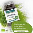 Gse Gerstengras 500 mg kontrolliert biologisch Tab - 3