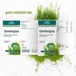 Gse Gerstengras 500mg kontrolliert biologisch Tabletten  - 2