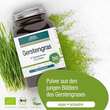 Gse Gerstengras kontrolliert biologisch Pulver - 3