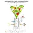 Zell Oxygen + Gelee Royale 600 mg Trinkampullen - 5