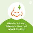Sinupret Saft - 6