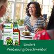 Artischockensaft Schoenenberger - 2