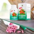 Cranberry Kapseln 400 mg - 4