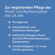Repha-OS Mund- und Rachenspray - 4
