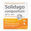 Solidago Compositum ad us.vet.Ampullen - 1