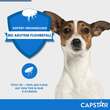 Capstar 11,4 mg Tabletten f&uuml;r Katzen / kleine Hunde - 4