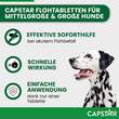 Capstar 57 mg Tabletten f&uuml;r gro&szlig;e Hunde - 3