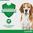 Capstar 57 mg Tabletten f&uuml;r gro&szlig;e Hunde - 4