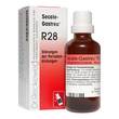 Secale-Gastreu R28 Mischung - 1