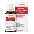 Aurum / Hyoscyamus comp.Mischung - 1