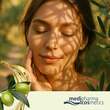 Oliven&ouml;l Nachtpflege Creme - 2