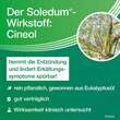 Soledum 100 mg magensaftresistente Kapseln - 4