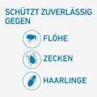 Frontline Spot on H 40 L&ouml;sung f&uuml;r Hunde - 2