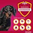 Advantix Spot-on L&ouml;sung z.Auftr.a.d.H.f&uuml;r Hund bis 4 kg - 4