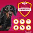 Advantix Spot-on L&ouml;sung z.Auftr.a.d.H.f&uuml;r Hund 4-10 kg - 4