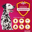 Advantix Spot-on L&ouml;sung z.Auftr.a.d.H.f&uuml;r Hund 10-25 kg - 4