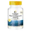 Fisch&ouml;l Kapseln 500 mg - 1