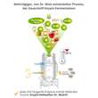 ZELL OXYGEN ZYM Anti-Aging 14 Tage Kombipackung - 4