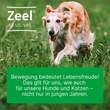 Zeel ad us.vet.Tabletten - 2