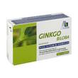 Ginkgo 100 mg Kapseln + B1+C+E - 1