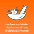 Teufelskralle-Ratiopharm Filmtabletten - 3