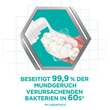 Corega Purfrisch Schaum - 4