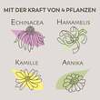 APOTHEKERS Lippenbalsam - 3