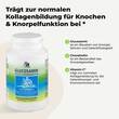 Glucosamin Chondroitin Kapseln - 2