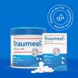Traumeel T ad us.vet.Tabletten - 5