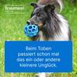 Traumeel T ad us.vet.Tabletten - 2
