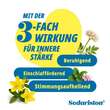 Sedariston Tropfen f&uuml;r d.Nacht - 3