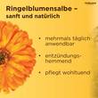 Ringelblumen Salbe - 5