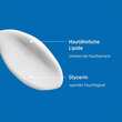 Physiogel Daily Moisture Therapy Creme - 3