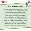 Borretsch&ouml;l Kapseln Dr.Wolz - 3