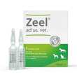 Zeel ad us.vet.Ampullen - 2
