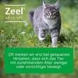 Zeel ad us.vet.Ampullen - 4