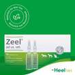 Zeel ad us.vet.Ampullen - 8