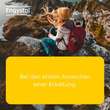 Engystol Tabletten - 2