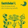 Gastricholan-L Fl&uuml;ssigkeit zum Einnehmen - 2