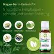 Magen-Darm-Entoxin N Tropfen - 2