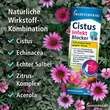 Klosterfrau Cistus Infekt Blocker Mundspray - 4