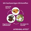 Myrrhinil Intest &uuml;berzogene Tabletten - 3