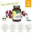 Gse Omega-3 Perilla&ouml;l biologische Kapseln - 2