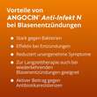 Angocin Anti-Infekt N Filmtabletten - 6