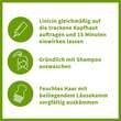 Linicin Lotion 15 Min. - 6