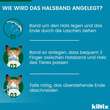 Kiltix Halsband f&uuml;r kleine Hunde - 7